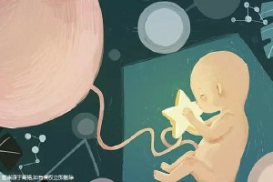关于景泰生殖